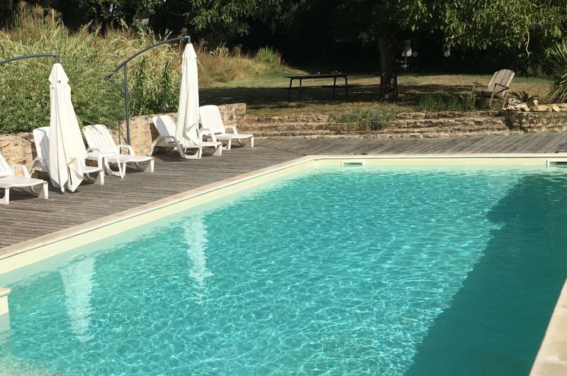 Grande piscine entourée de verdure